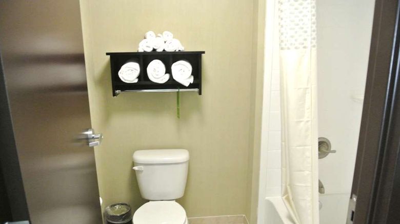 <b>Hampton Inn Carrizo Springs Room</b>. Images powered by <a href="https://iceportal.shijigroup.com/" title="IcePortal" target="_blank">IcePortal</a>.