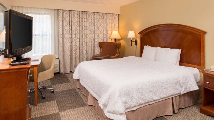 Hampton Inn San Antonio Stone Oak Room