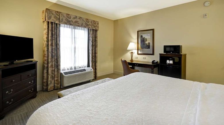 <b>Hampton Inn & Suites Historic District Room</b>. Images powered by <a href="https://iceportal.shijigroup.com/" title="IcePortal" target="_blank">IcePortal</a>.