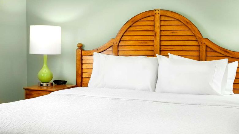 <b>Hampton Inn & Suites Savannah/Midtown Room</b>. Images powered by <a href="https://iceportal.shijigroup.com/" title="IcePortal" target="_blank">IcePortal</a>.