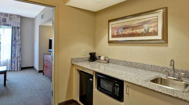 <b>Hampton Inn Sayre Other</b>. Images powered by <a href="https://iceportal.shijigroup.com/" title="IcePortal" target="_blank">IcePortal</a>.