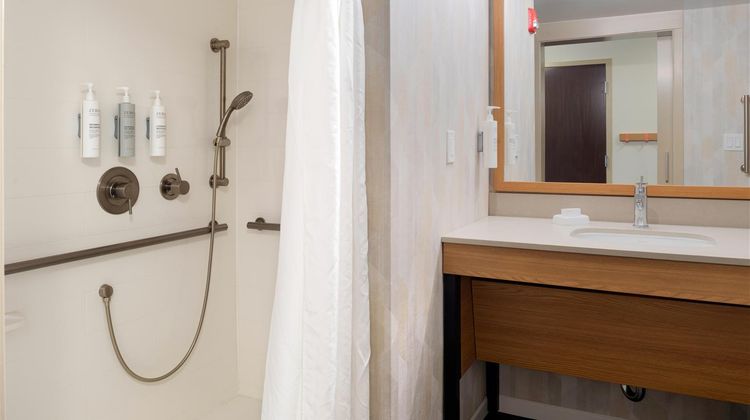 Hampton Inn Seattle-Airport Room
