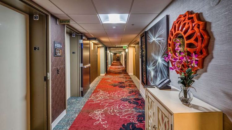 Hampton Inn San Francisco Arpt Lobby