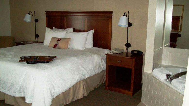<b>Hampton Inn Sidney Room</b>. Images powered by <a href="https://iceportal.shijigroup.com/" title="IcePortal" target="_blank">IcePortal</a>.