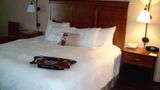 <b>Hampton Inn Sidney Room</b>. Images powered by <a href="https://iceportal.shijigroup.com/" title="IcePortal" target="_blank">IcePortal</a>.