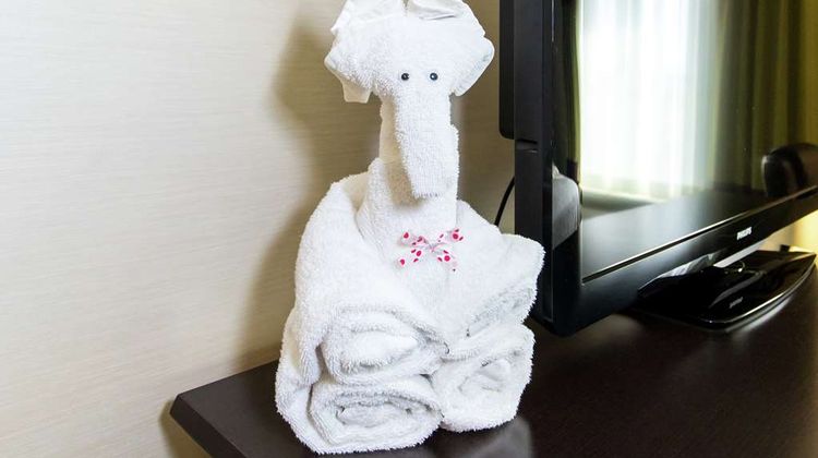 Hampton Inn & Suites, Sandusky/Milan Other