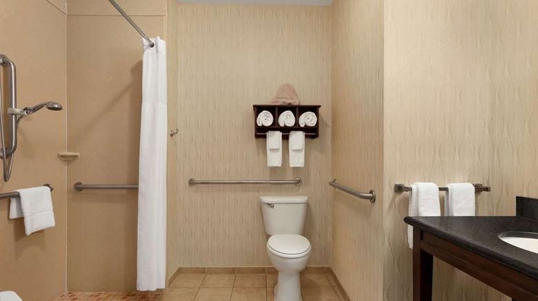 <b>Hampton Inn Sulphur Springs Room</b>. Images powered by <a href="https://iceportal.shijigroup.com/" title="IcePortal" target="_blank">IcePortal</a>.