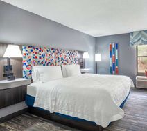 Hampton Inn Sanford Room