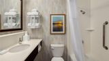 <b>Hampton Inn Springfield South Room</b>. Images powered by <a href="https://iceportal.shijigroup.com/" title="IcePortal" target="_blank">IcePortal</a>.