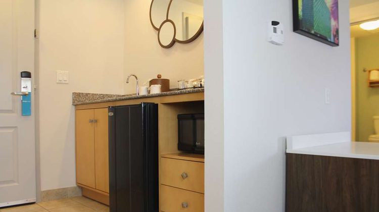 Hampton Inn & Suites-Bradenton Airport Other