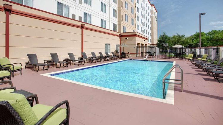 Homewood Suites by Hilton Tampa Pool