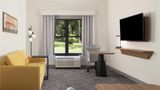 Hampton Inn & Suites Tampa North Room