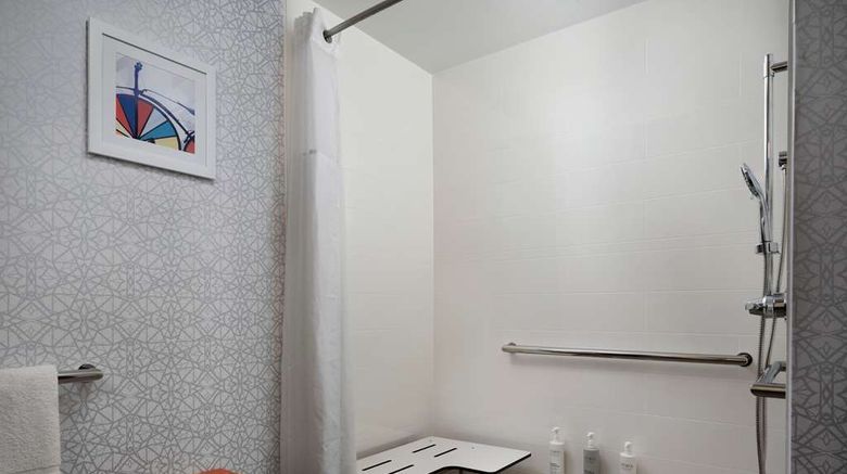 <b>Hampton Inn Troy Room</b>. Images powered by <a href="https://iceportal.shijigroup.com/" title="IcePortal" target="_blank">IcePortal</a>.