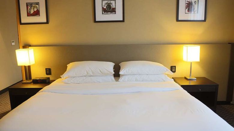 <b>Hilton Garden Inn Tucuman Room</b>. Images powered by <a href="https://iceportal.shijigroup.com/" title="IcePortal" target="_blank">IcePortal</a>.