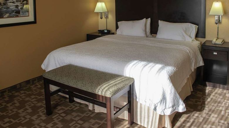 <b>Hampton Inn Knoxville-I-75 North Room</b>. Images powered by <a href="https://iceportal.shijigroup.com/" title="IcePortal" target="_blank">IcePortal</a>.