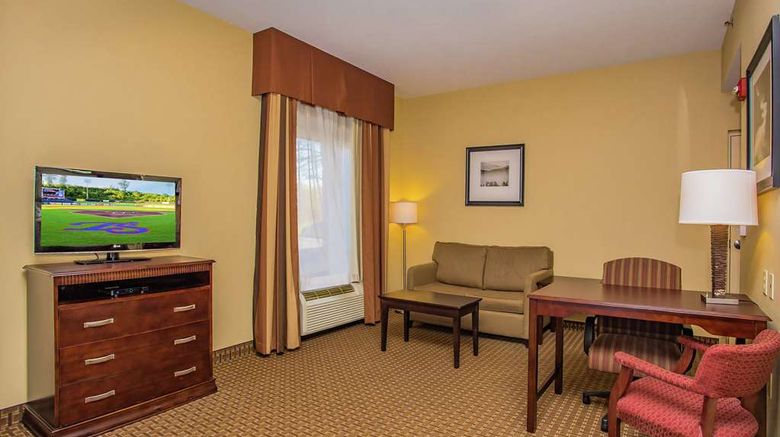 <b>Hampton Inn & Suites Sevierville Room</b>. Images powered by <a href="https://iceportal.shijigroup.com/" title="IcePortal" target="_blank">IcePortal</a>.