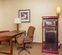 Hampton Inn & Suites Sevierville Room