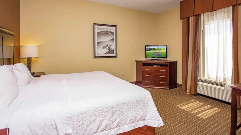 <b>Hampton Inn & Suites Sevierville Other</b>. Images powered by <a href="https://iceportal.shijigroup.com/" title="IcePortal" target="_blank">IcePortal</a>.