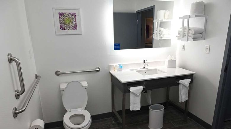 <b>Hampton Inn Valdosta-Lake Park Room</b>. Images powered by <a href="https://iceportal.shijigroup.com/" title="IcePortal" target="_blank">IcePortal</a>.