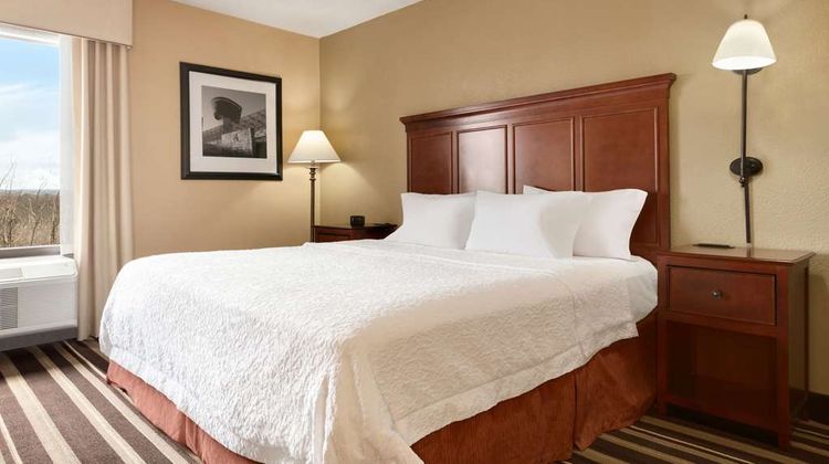 Hampton Inn Dulles Intl Airport South Room