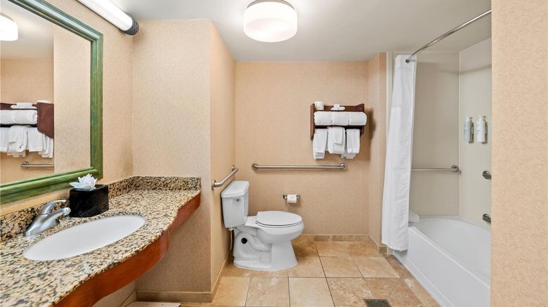<b>Hampton Inn & Suites Central Room</b>. Images powered by <a href="https://iceportal.shijigroup.com/" title="IcePortal" target="_blank">IcePortal</a>.