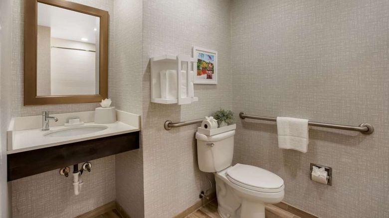 <b>Hampton Inn Willow Grove Room</b>. Images powered by <a href="https://iceportal.shijigroup.com/" title="IcePortal" target="_blank">IcePortal</a>.