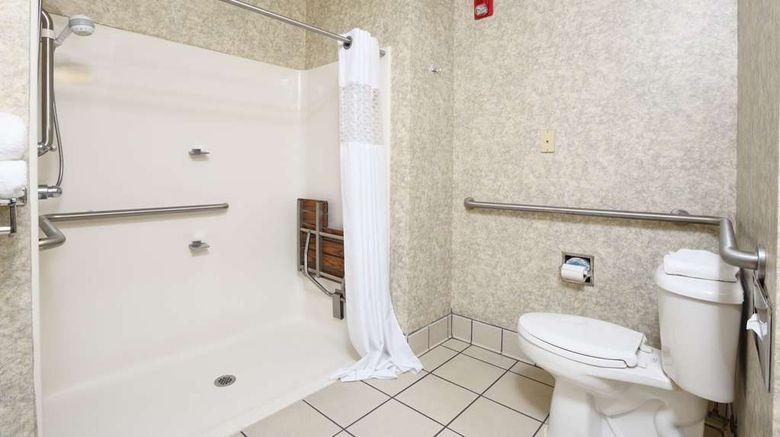 <b>Hampton Inn Williamston Room</b>. Images powered by <a href="https://iceportal.shijigroup.com/" title="IcePortal" target="_blank">IcePortal</a>.
