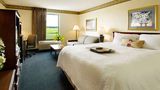 <b>Hampton Inn Williamston Room</b>. Images powered by <a href="https://iceportal.shijigroup.com/" title="IcePortal" target="_blank">IcePortal</a>.