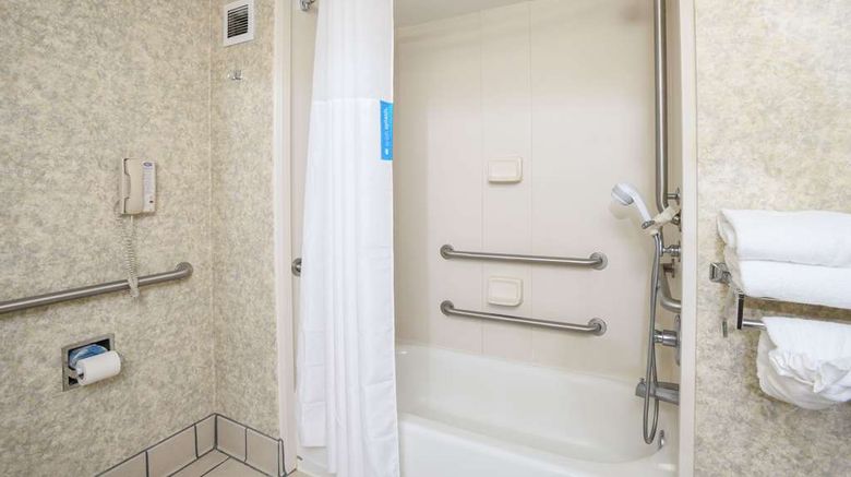 <b>Hampton Inn Williamston Room</b>. Images powered by <a href="https://iceportal.shijigroup.com/" title="IcePortal" target="_blank">IcePortal</a>.