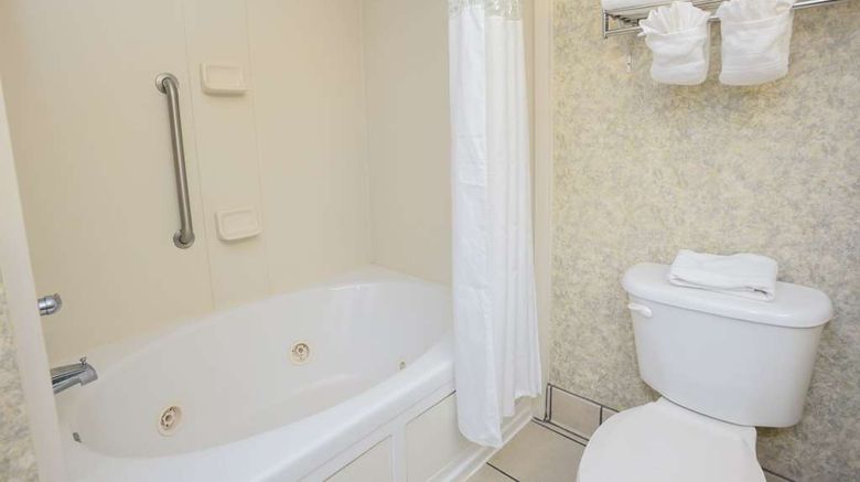 <b>Hampton Inn Williamston Room</b>. Images powered by <a href="https://iceportal.shijigroup.com/" title="IcePortal" target="_blank">IcePortal</a>.