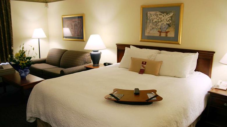 <b>Hampton Inn Williamston Room</b>. Images powered by <a href="https://iceportal.shijigroup.com/" title="IcePortal" target="_blank">IcePortal</a>.