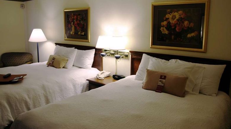 <b>Hampton Inn Williamston Room</b>. Images powered by <a href="https://iceportal.shijigroup.com/" title="IcePortal" target="_blank">IcePortal</a>.