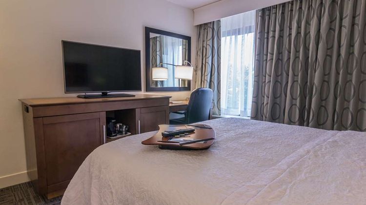 Hampton Inn University/Mall Area Room