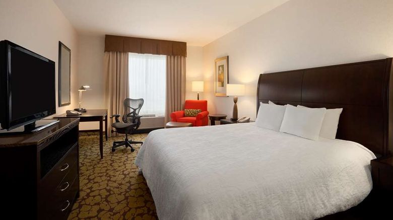 <b>Hilton Garden Inn Edmonton Intl Airport Room</b>. Images powered by <a href="https://iceportal.shijigroup.com/" title="IcePortal" target="_blank">IcePortal</a>.