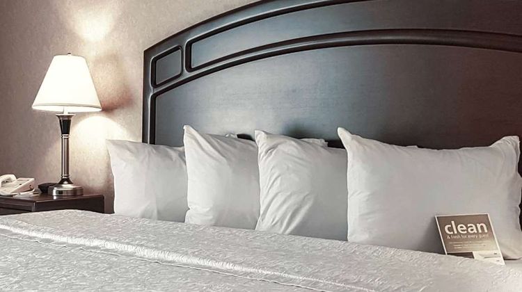 Hampton Inn Edmonton Airport Room
