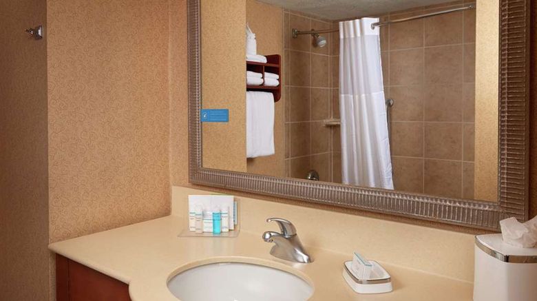 <b>Hampton Inn Youngstown I-80 West Room</b>. Images powered by <a href="https://iceportal.shijigroup.com/" title="IcePortal" target="_blank">IcePortal</a>.