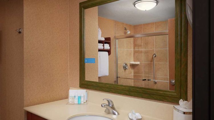 Hampton Inn Youngstown I-80 West Room