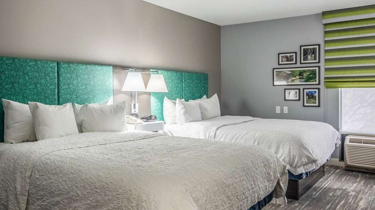 Hampton Inn Youngstown-North Room