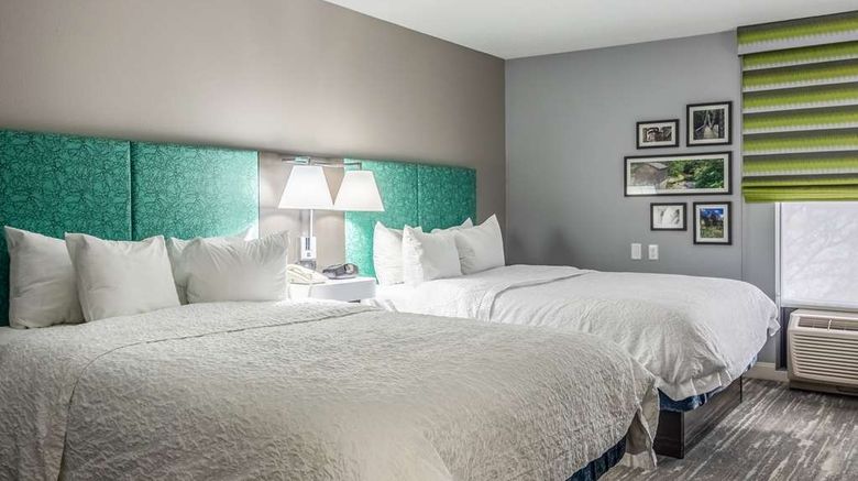 <b>Hampton Inn Youngstown-North Room</b>. Images powered by <a href="https://iceportal.shijigroup.com/" title="IcePortal" target="_blank">IcePortal</a>.