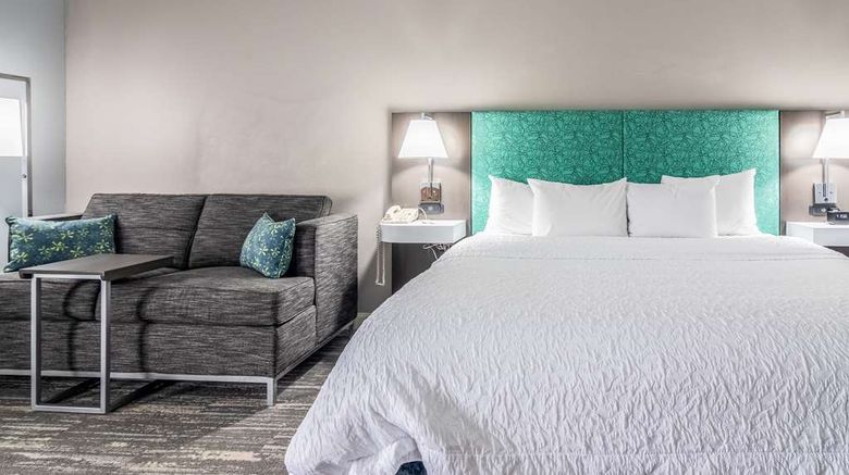 <b>Hampton Inn Youngstown-North Room</b>. Images powered by <a href="https://iceportal.shijigroup.com/" title="IcePortal" target="_blank">IcePortal</a>.