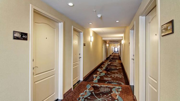 Hampton Inn Toronto Airport Corp Centre Lobby
