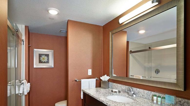 <b>Hampton Calgary Airport North Room</b>. Images powered by <a href="https://iceportal.shijigroup.com/" title="IcePortal" target="_blank">IcePortal</a>.