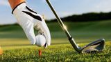 Homewood Suites by Hilton Golf