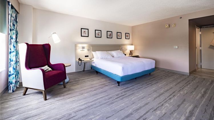 Hilton Garden Inn Albany Hotel Room
