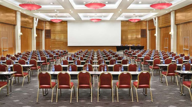 Hilton Addis Ababa Meeting