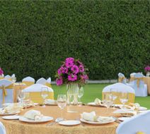 DoubleTree by Hilton Hotel Agra Exterior