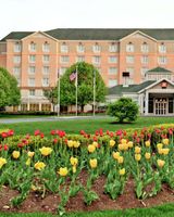 Hilton Garden Inn Albany Airport