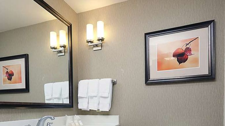 <b>Hilton Garden Inn Clifton Park Room</b>. Images powered by <a href="https://iceportal.shijigroup.com/" title="IcePortal" target="_blank">IcePortal</a>.