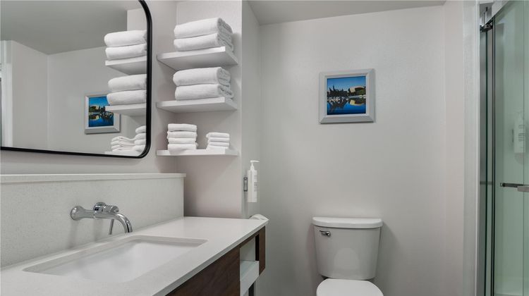 Hampton Inn & Suites Albany-Downtown Room