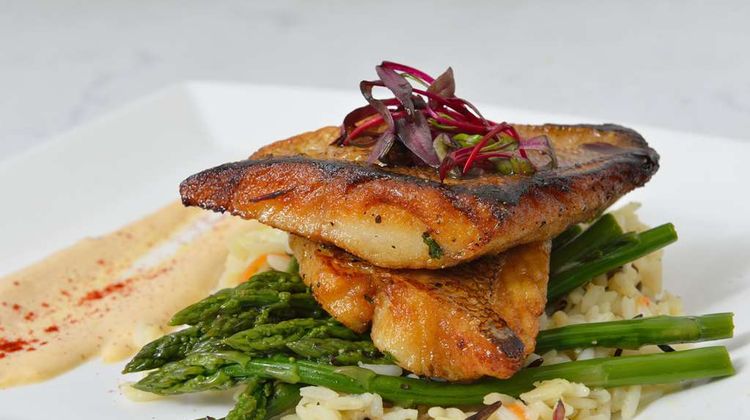 Hilton Orlando Altamonte Springs Restaurant